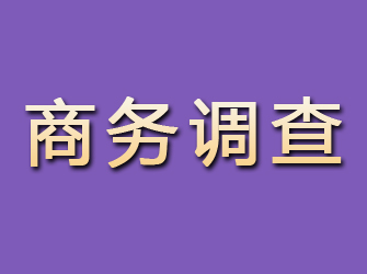 綦江商务调查